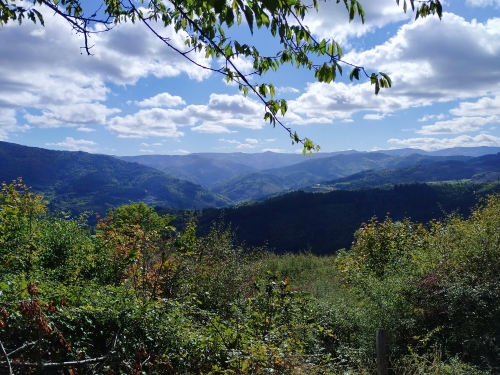 IMG_20251005_152220.jpg