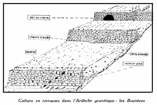 TERRASSES BOUTIERES.jpg