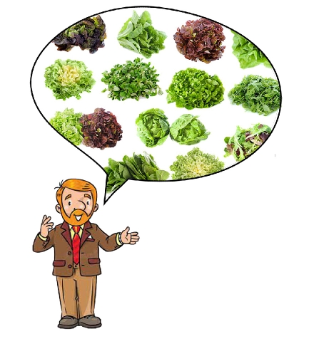 salades.jpg