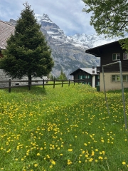 zone non tondue suisse.jpg