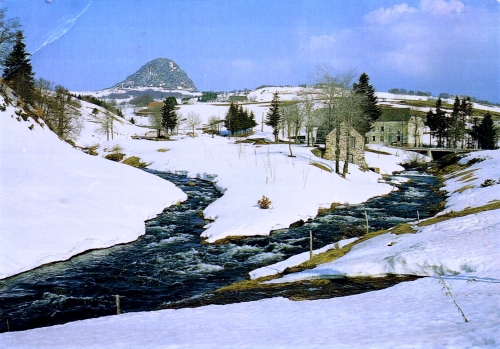 gerbier-18069.jpg